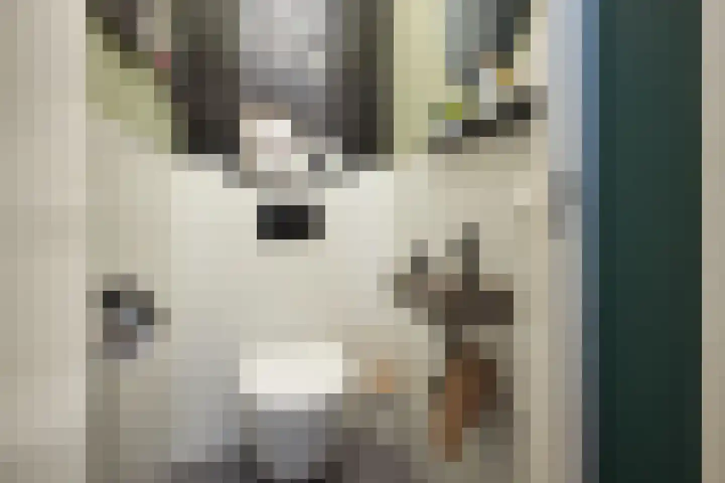 Willemstraat 14 Alphen aan den Rijn thumbnail 5