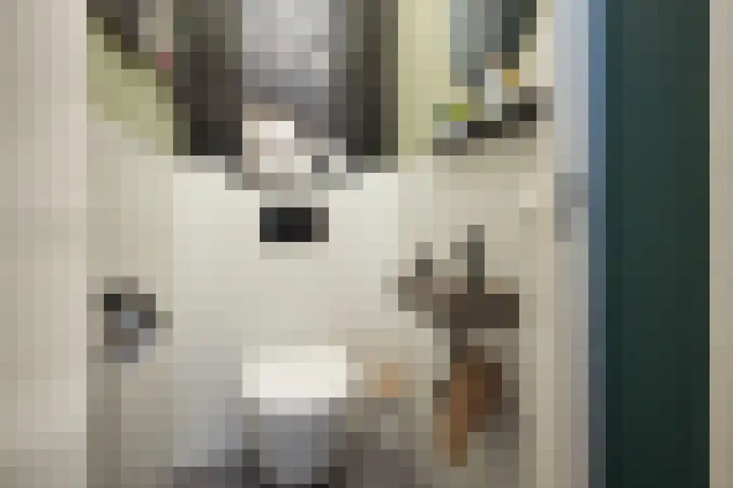 Willemstraat 14 Alphen aan den Rijn thumbnail 5