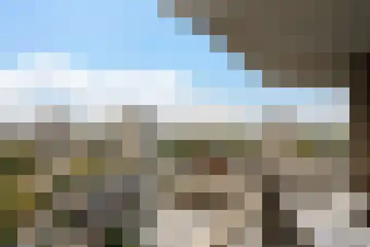 Willemstraat 140 Zoetermeer thumbnail 29