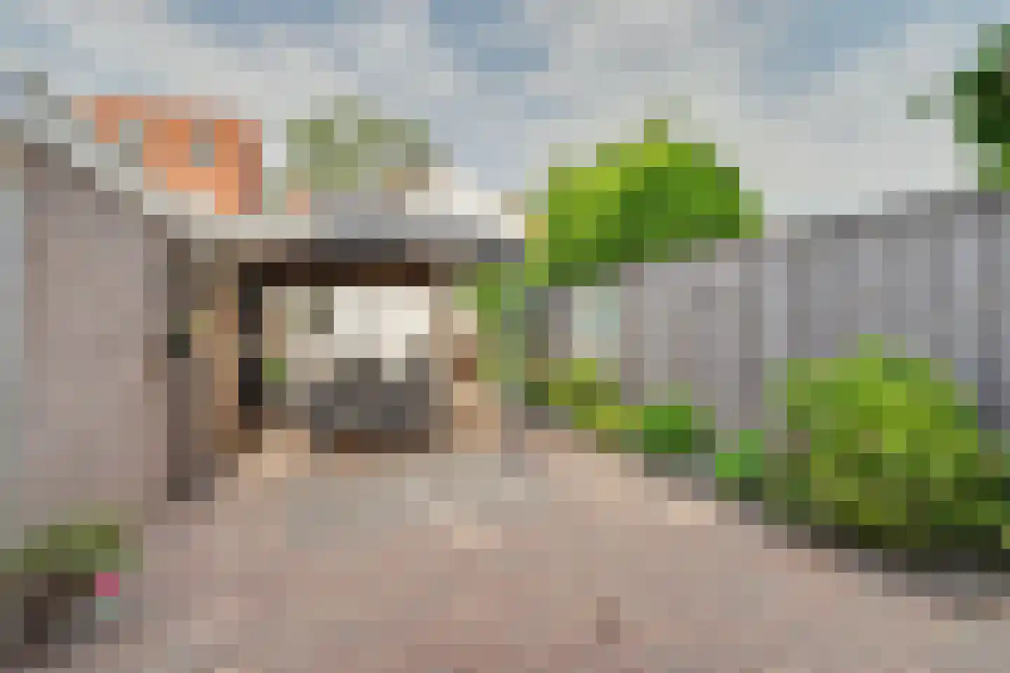 Willemstraat 15 Oosterhout thumbnail 6