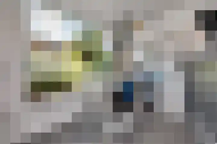 Willemstraat 15 Velp thumbnail 12
