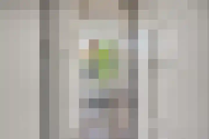 Willemstraat 15 Velp thumbnail 13