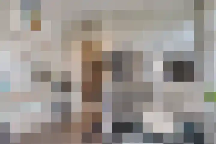 Willemstraat 15 Velp thumbnail 14