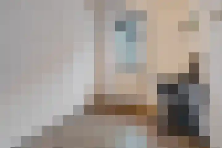 Willemstraat 15 Velp thumbnail 17