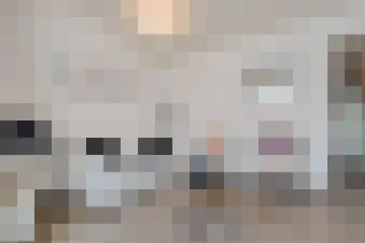 Willemstraat 15 Velp thumbnail 21