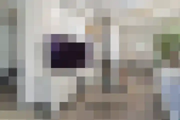 Willemstraat 15 Velp thumbnail 23