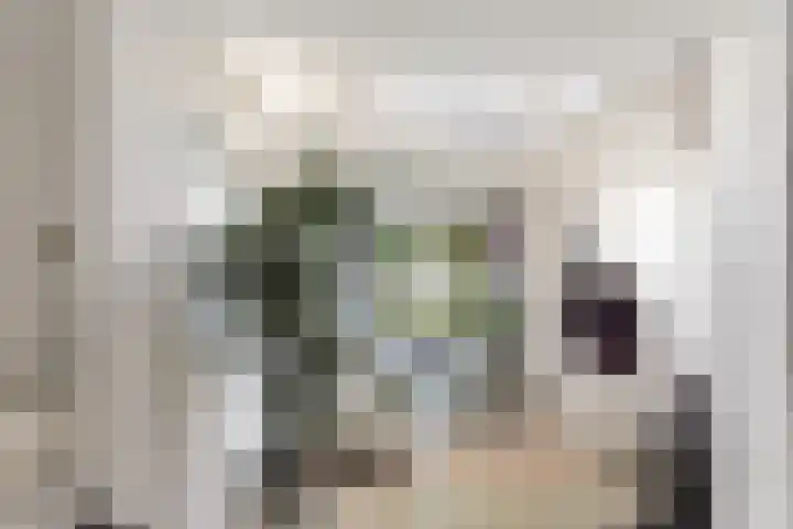 Willemstraat 15 Velp thumbnail 24