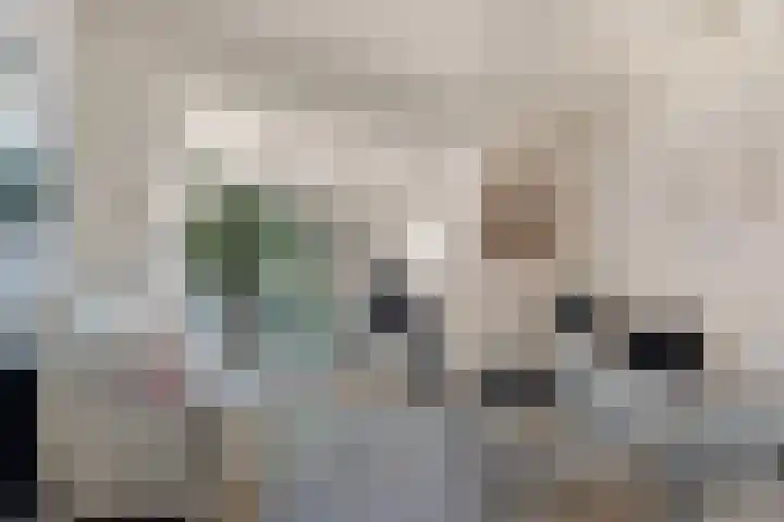 Willemstraat 15 Velp thumbnail 25