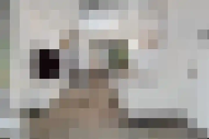 Willemstraat 15 Velp thumbnail 26