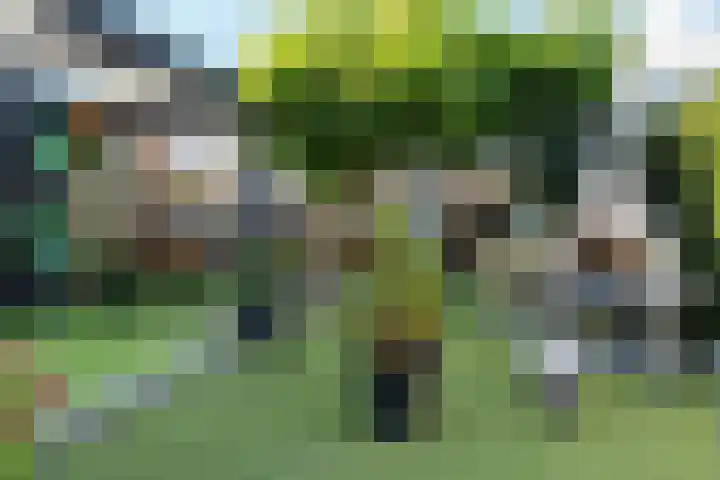 Willemstraat 15 Velp thumbnail 29