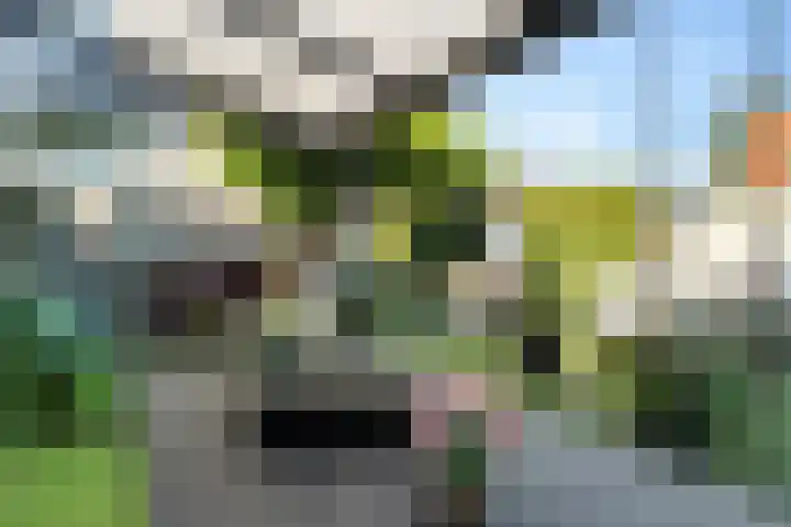 Willemstraat 15 Velp thumbnail 30