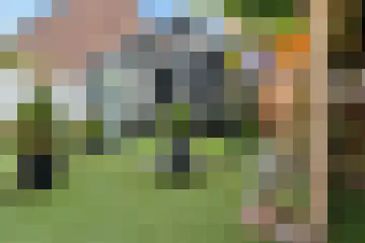 Willemstraat 15 Velp thumbnail 31