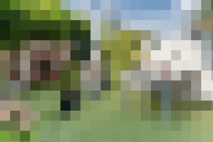 Willemstraat 15 Velp thumbnail 33
