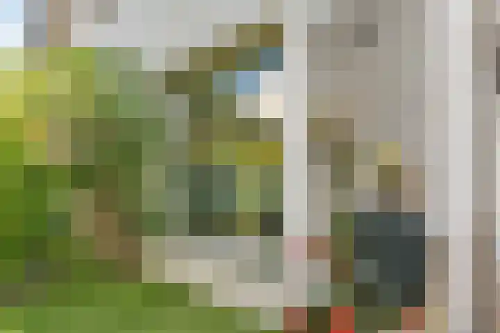 Willemstraat 15 Velp thumbnail 4