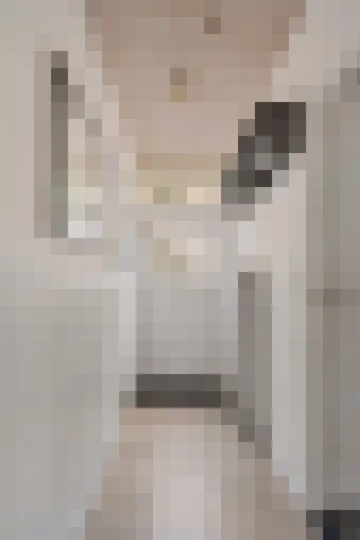 Willemstraat 15 Velp thumbnail 9