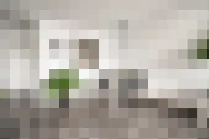 Willemstraat 151 Zoetermeer thumbnail 17