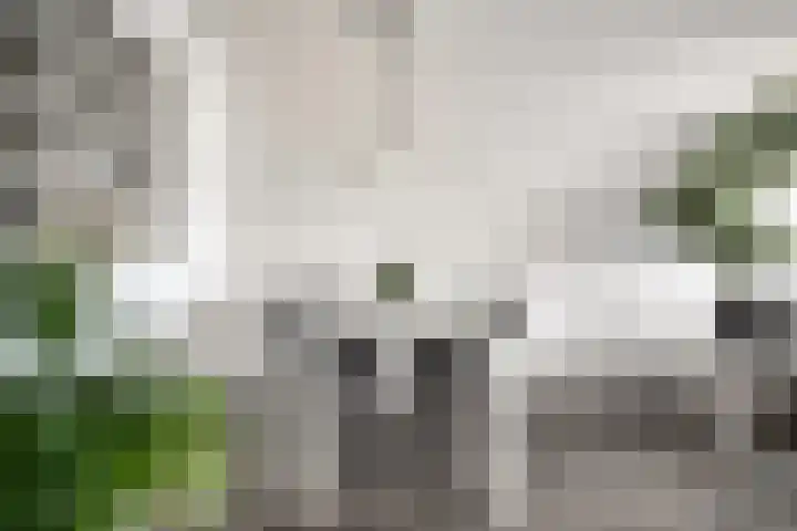 Willemstraat 151 Zoetermeer thumbnail 18