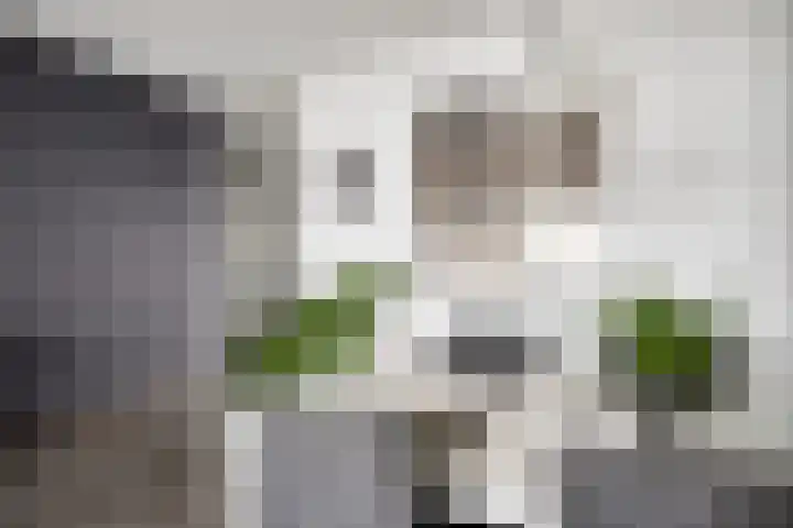 Willemstraat 151 Zoetermeer thumbnail 19