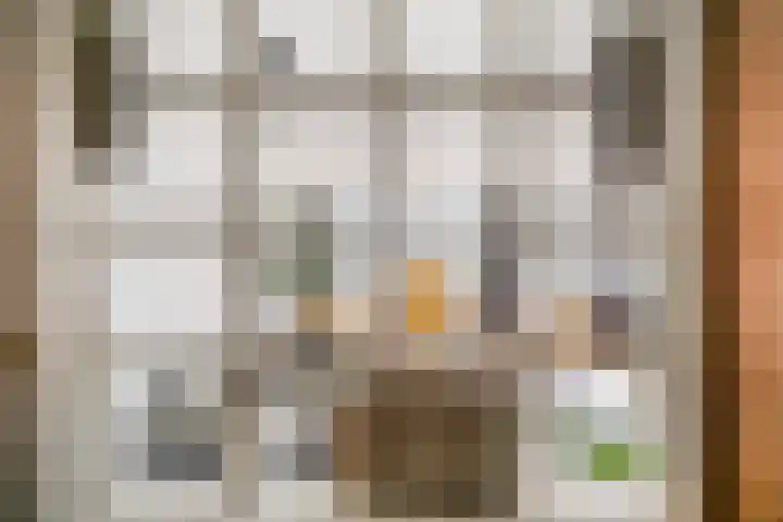 Willemstraat 151 Zoetermeer thumbnail 21