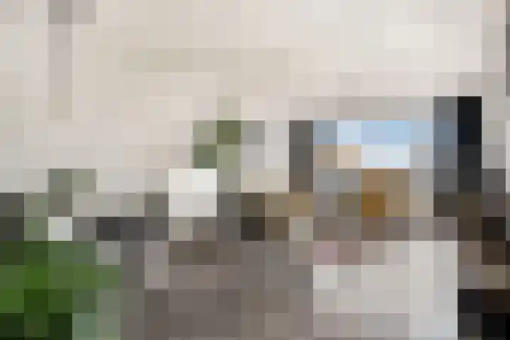 Willemstraat 151 Zoetermeer thumbnail 23