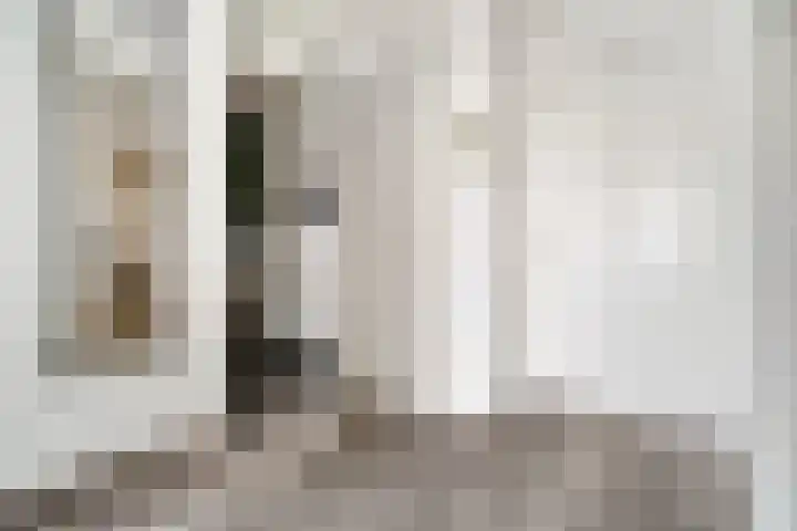 Willemstraat 151 Zoetermeer thumbnail 27