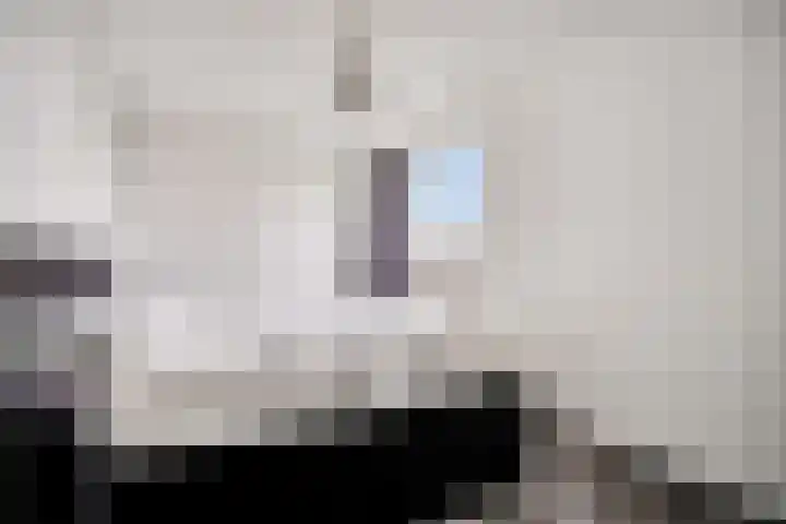 Willemstraat 151 Zoetermeer thumbnail 33