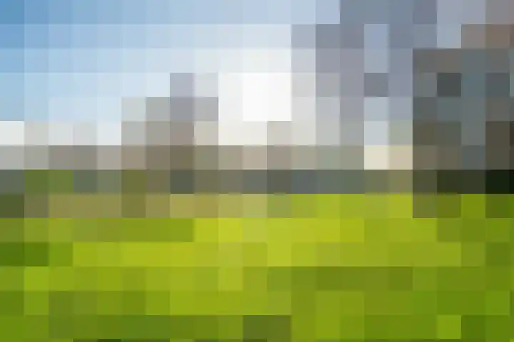 Willemstraat 151 Zoetermeer thumbnail 37