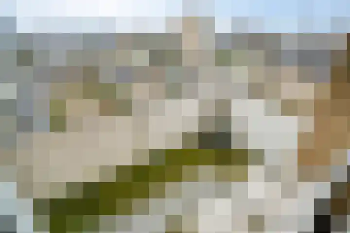Willemstraat 151 Zoetermeer thumbnail 7