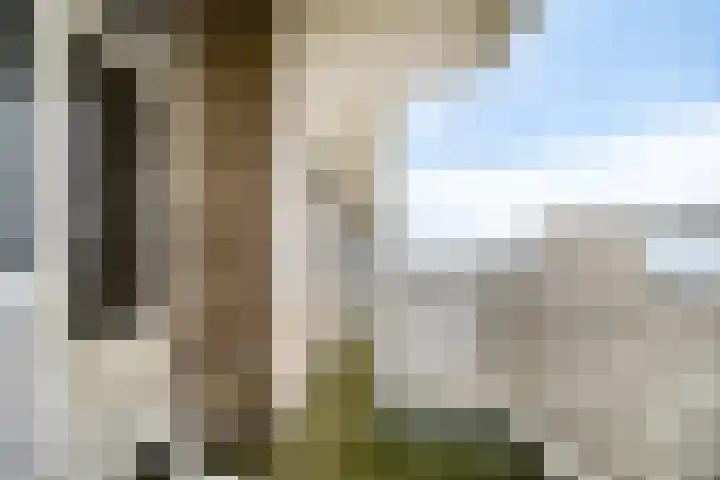Willemstraat 151 Zoetermeer thumbnail 8