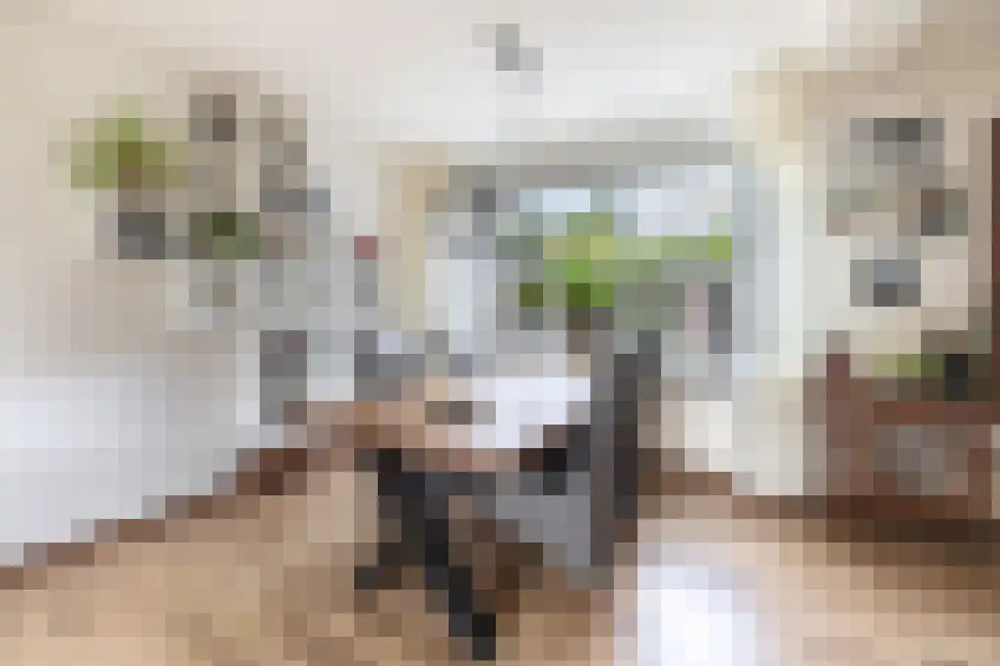 Willemstraat 16 Velp thumbnail 10