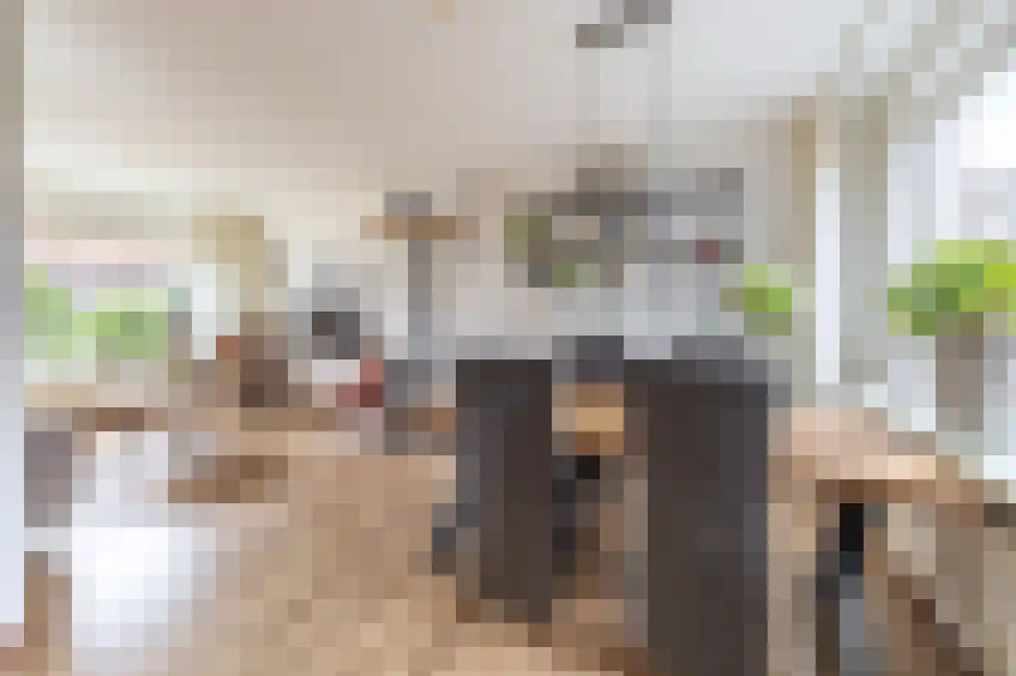 Willemstraat 16 Velp thumbnail 11