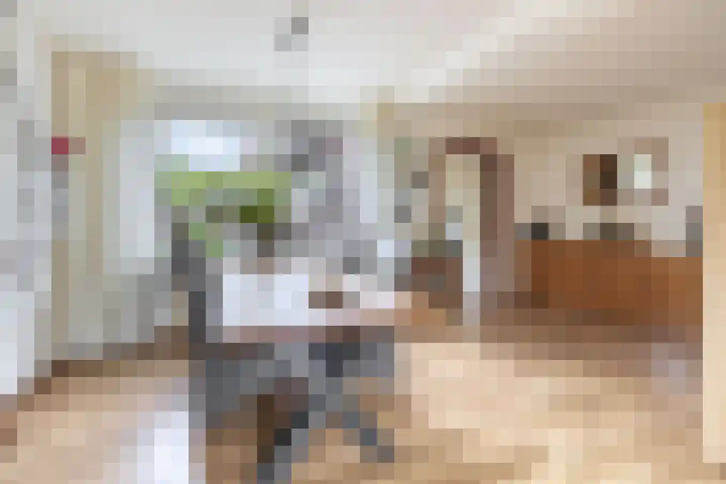 Willemstraat 16 Velp thumbnail 12