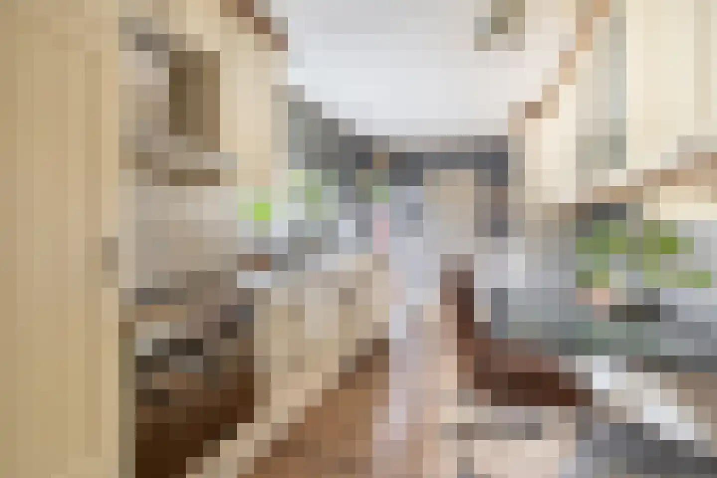 Willemstraat 16 Velp thumbnail 14
