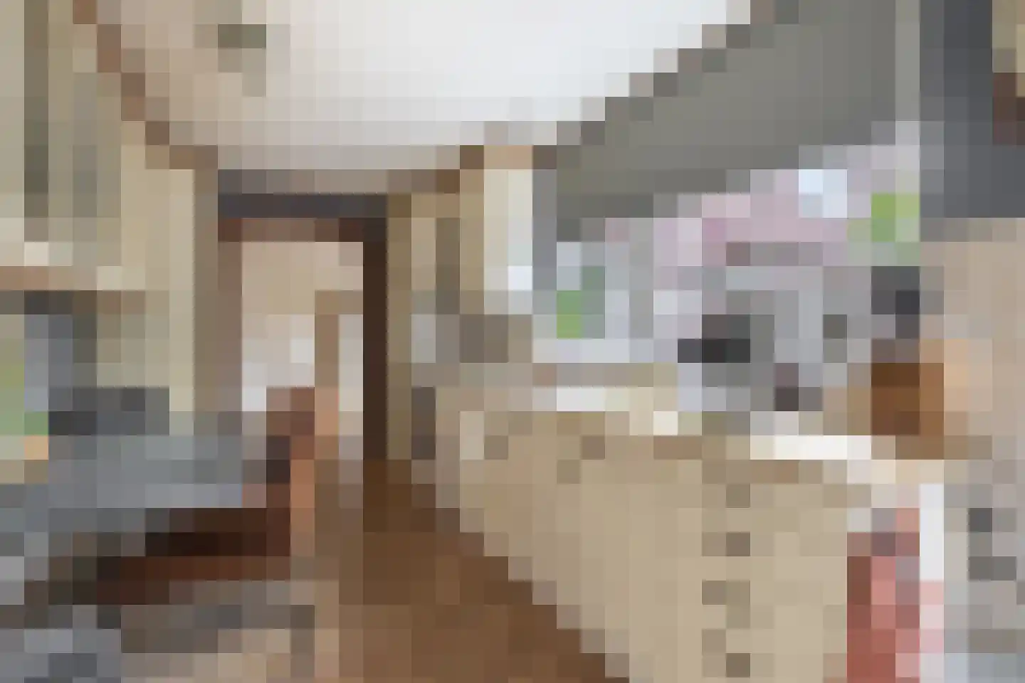 Willemstraat 16 Velp thumbnail 17