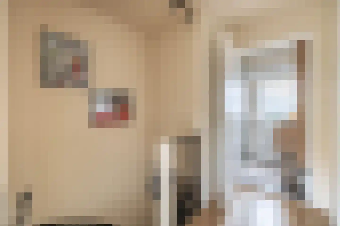 Willemstraat 16 Velp thumbnail 24