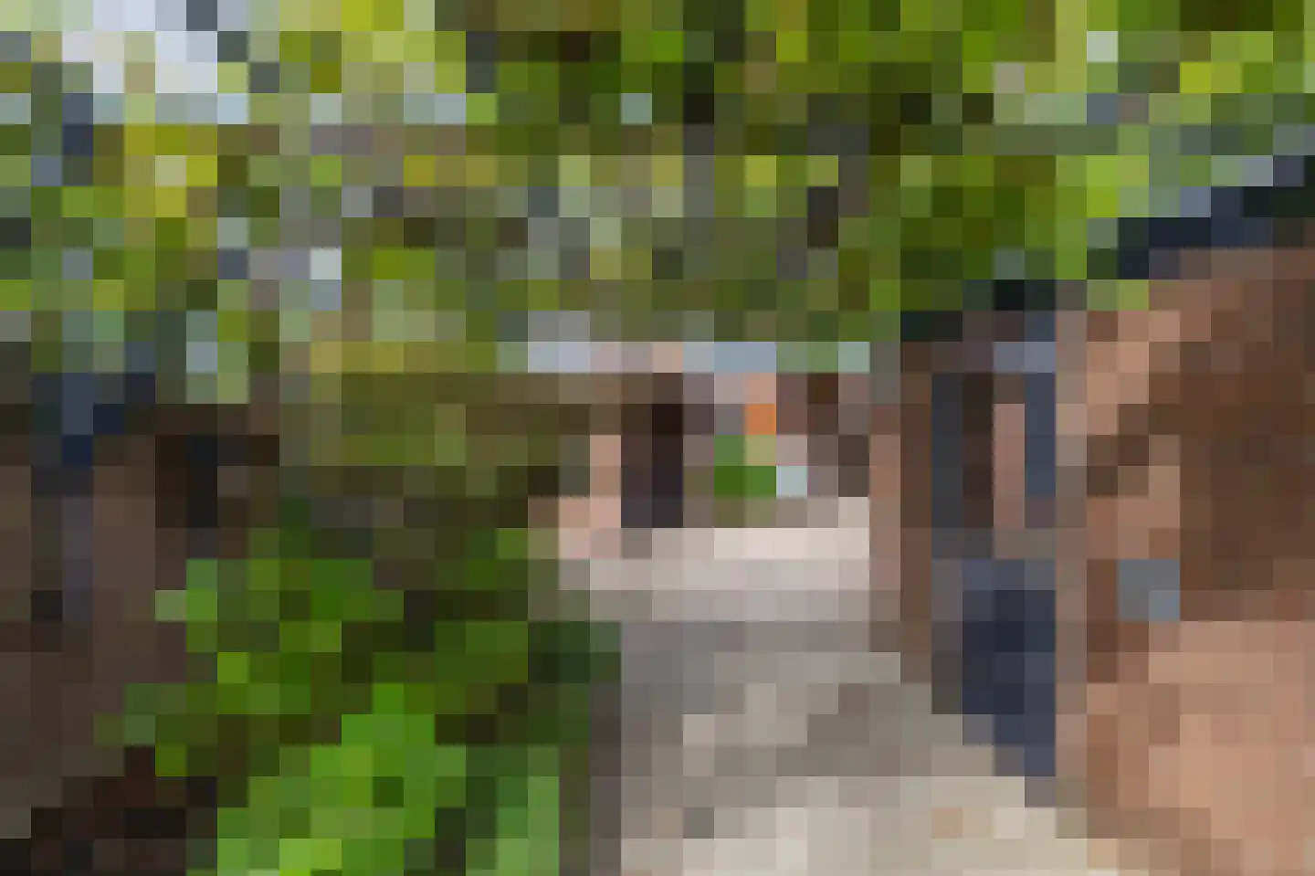 Willemstraat 16 Velp thumbnail 36