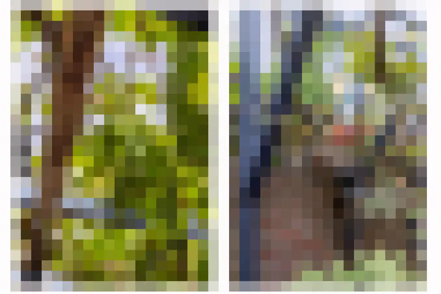 Willemstraat 16 Velp thumbnail 37
