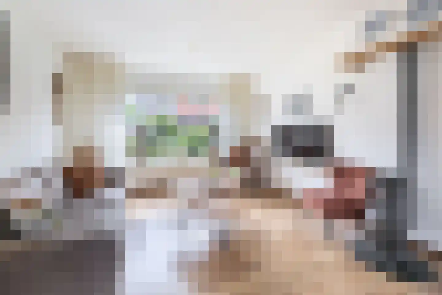 Willemstraat 16 Velp thumbnail 6