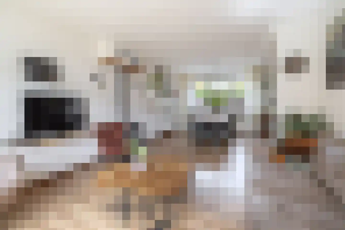 Willemstraat 16 Velp thumbnail 8