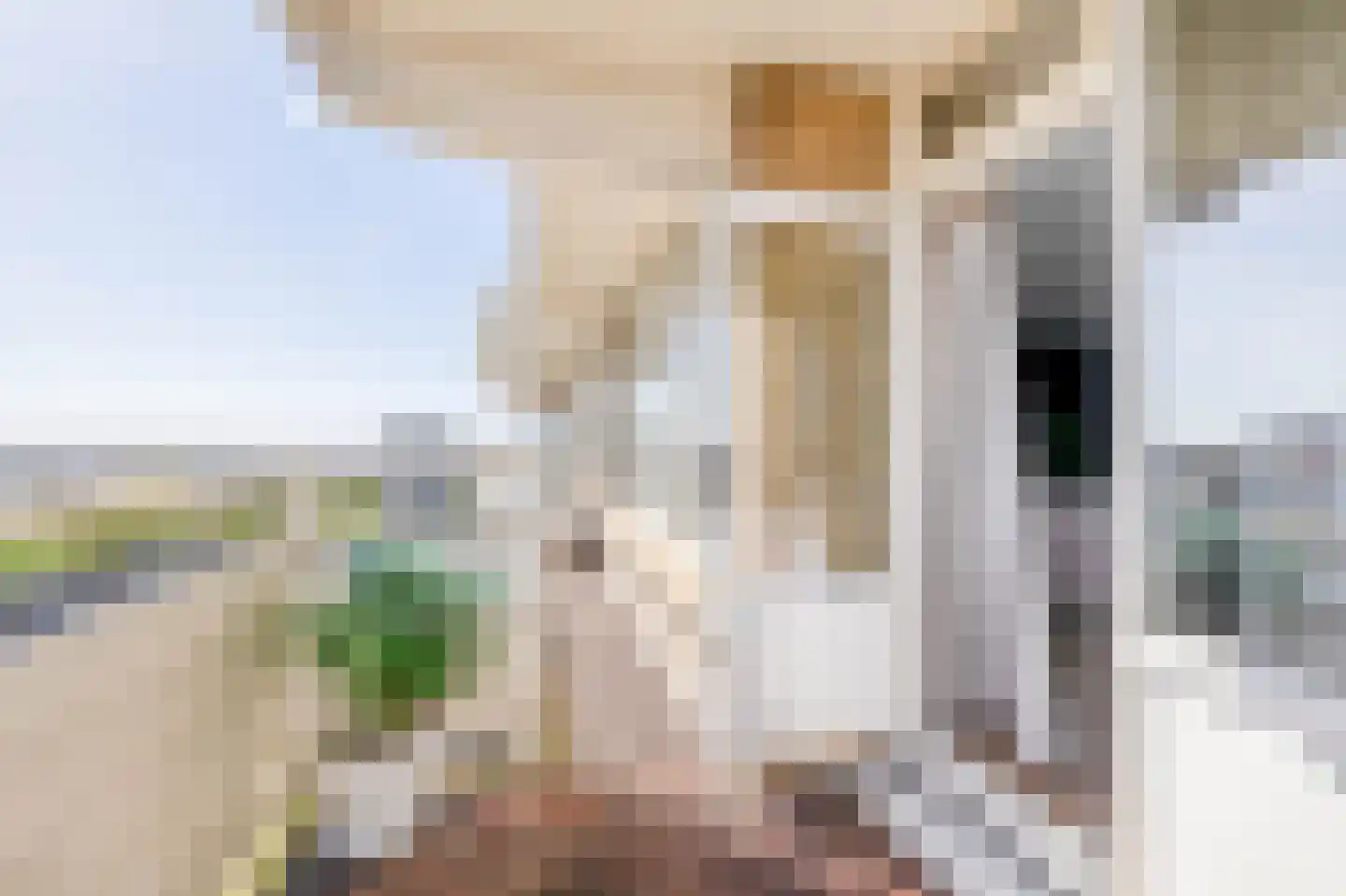 Willemstraat 160 Zoetermeer thumbnail 15
