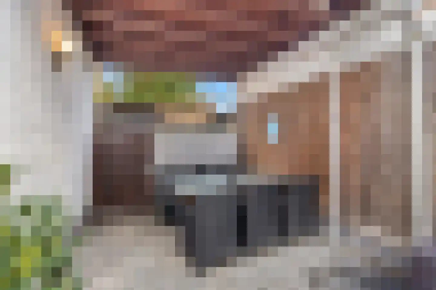 Willemstraat 17 Roosendaal thumbnail 35