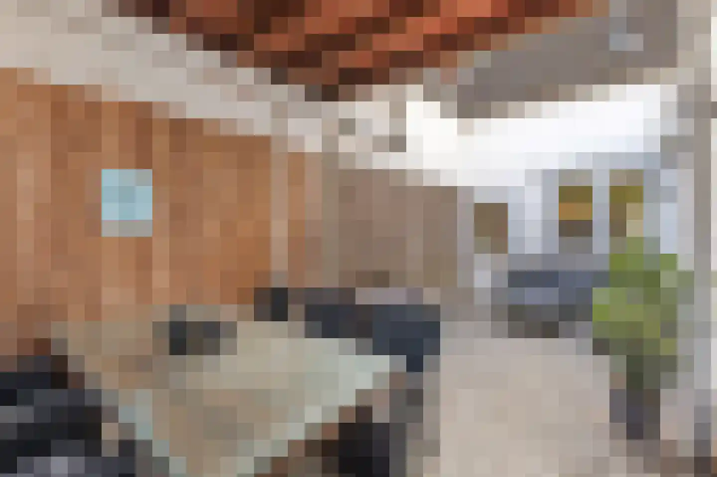 Willemstraat 17 Roosendaal thumbnail 5