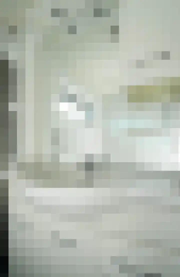Willemstraat 18 Bakel thumbnail 25