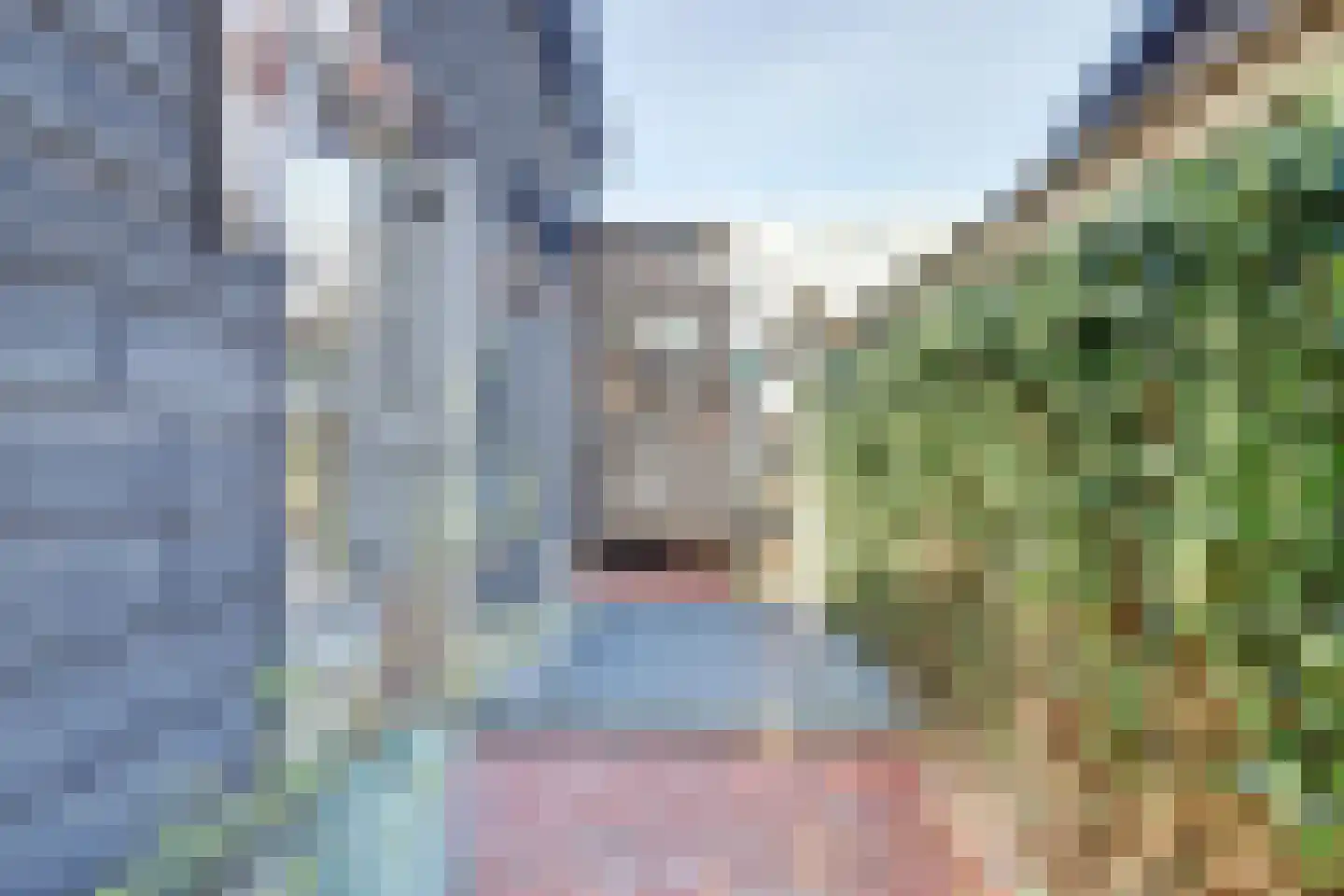 Willemstraat 182 Ridderkerk thumbnail 52