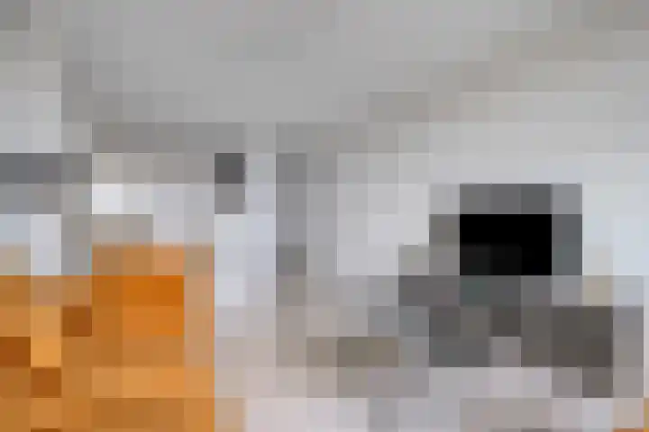 Willemstraat 191 in Zoetermeer