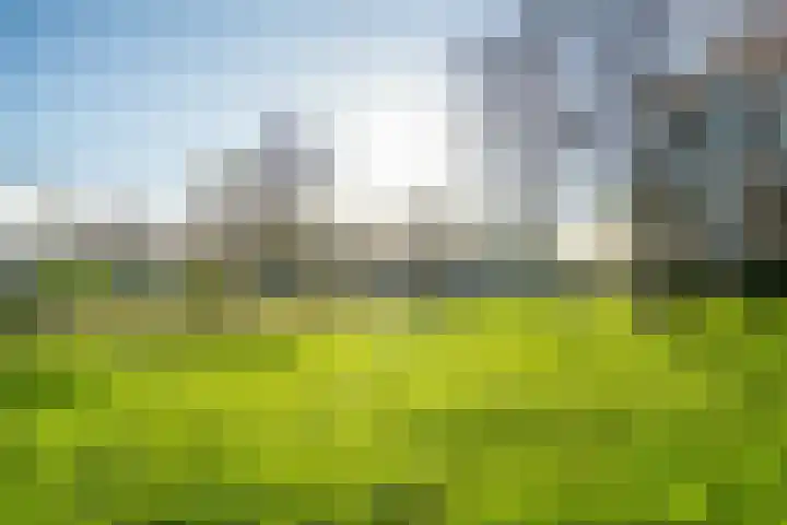 Willemstraat 197 Zoetermeer thumbnail 36