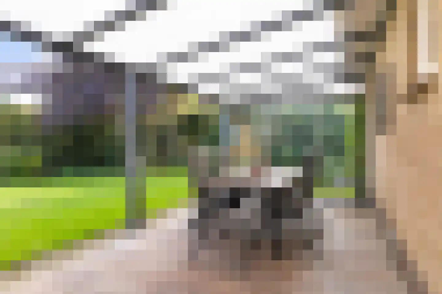 Willemstraat 2 Aalten thumbnail 30