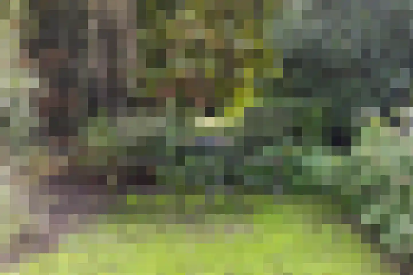 Willemstraat 2 Aalten thumbnail 36