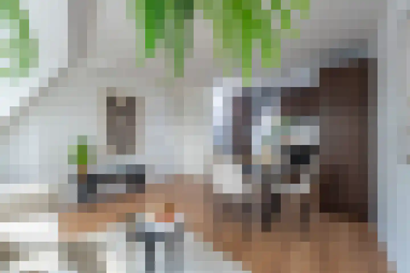 Willemstraat 2 B Leiden thumbnail 5