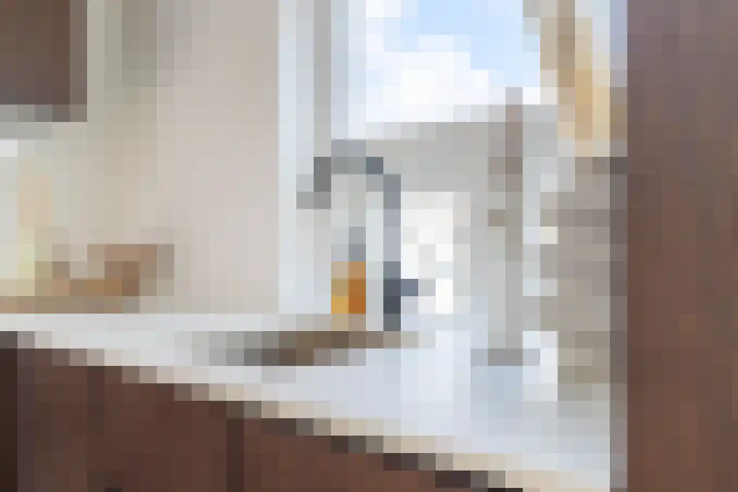 Willemstraat 2 B Leiden thumbnail 9
